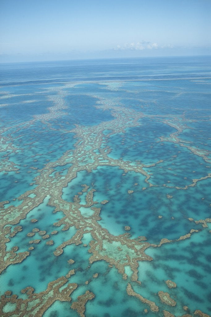 Detail of Aerial view of the Great Barrier Reef, Queensland, Australia by Anonymous