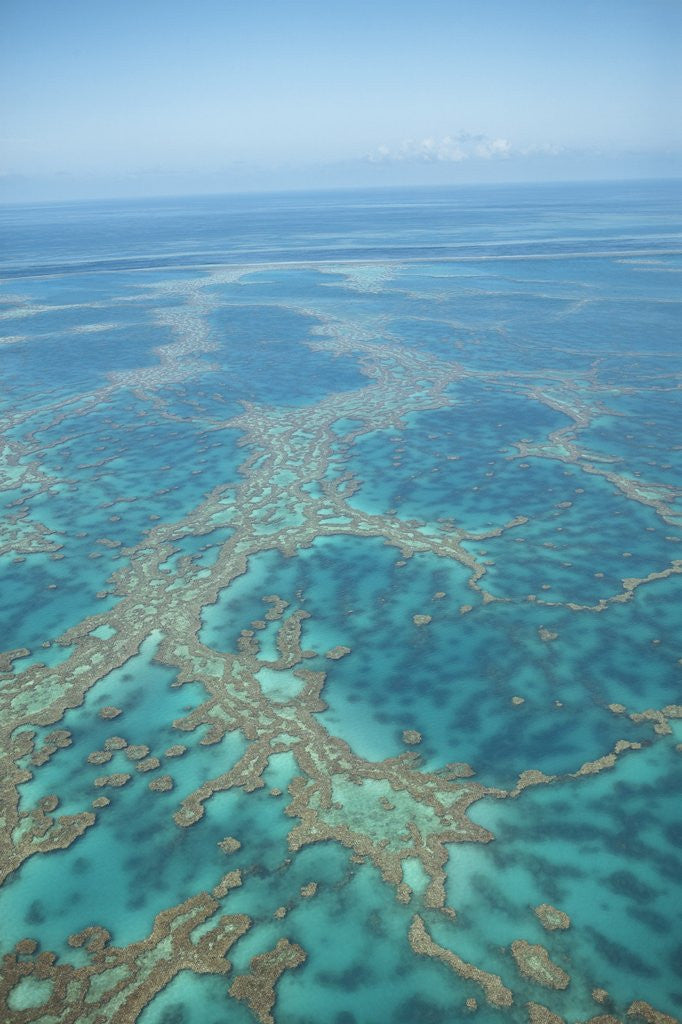 Detail of Aerial view of the Great Barrier Reef, Queensland, Australia by Corbis