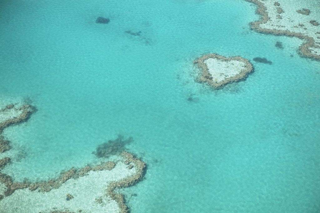 Detail of Aerial view of the Great Barrier Reef, Queensland, Australia by Anonymous