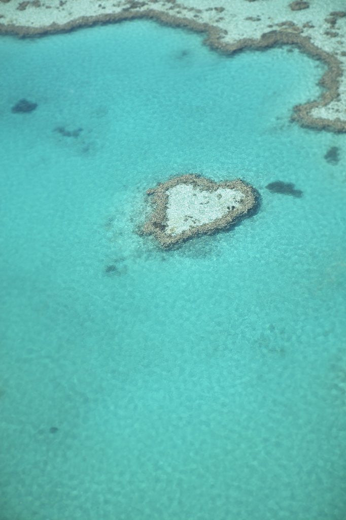 Detail of Aerial view of the Great Barrier Reef, Queensland, Australia by Anonymous