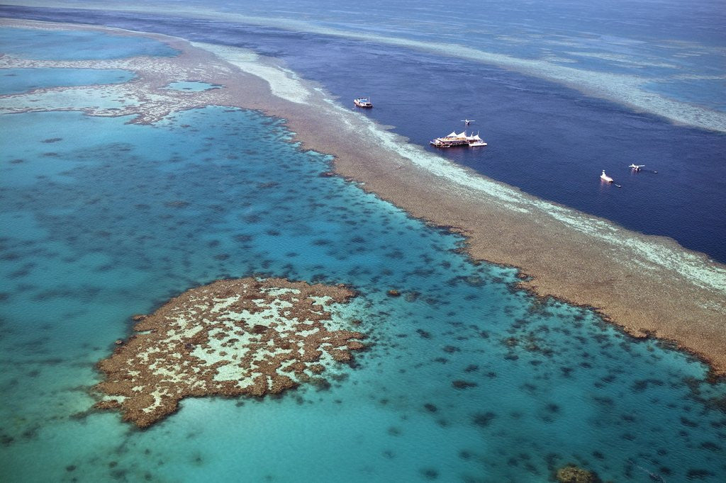 Detail of Aerial view of the Great Barrier Reef, Queensland, Australia by Corbis