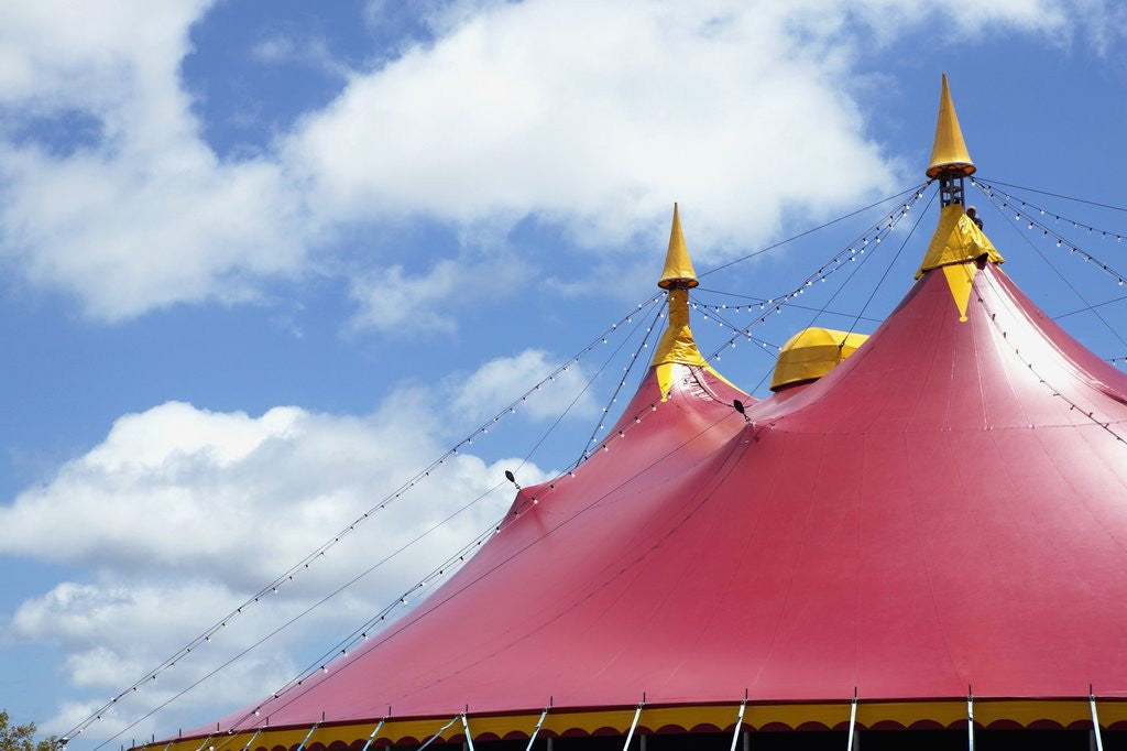 Detail of Low angle view of a circus tent roof by Anonymous