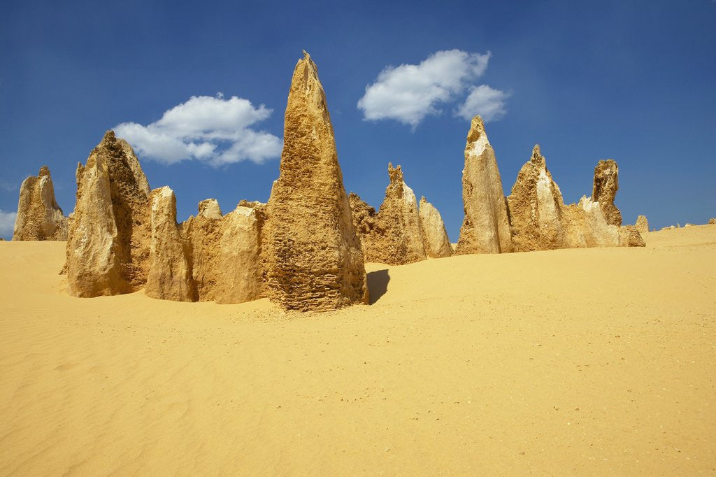 Detail of The Pinnacles, Nambung National Park, Australia by Anonymous