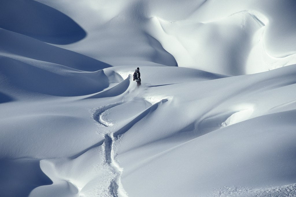 Detail of Snowboarder Riding in Powder Snow, Austria, Europe by Anonymous