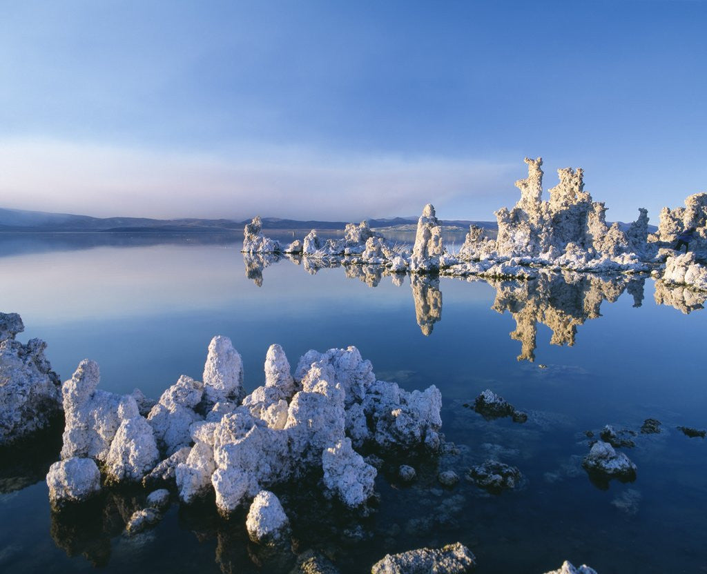Detail of South Tufa, Tufa Towers, Mono Lake, California, USA by Anonymous