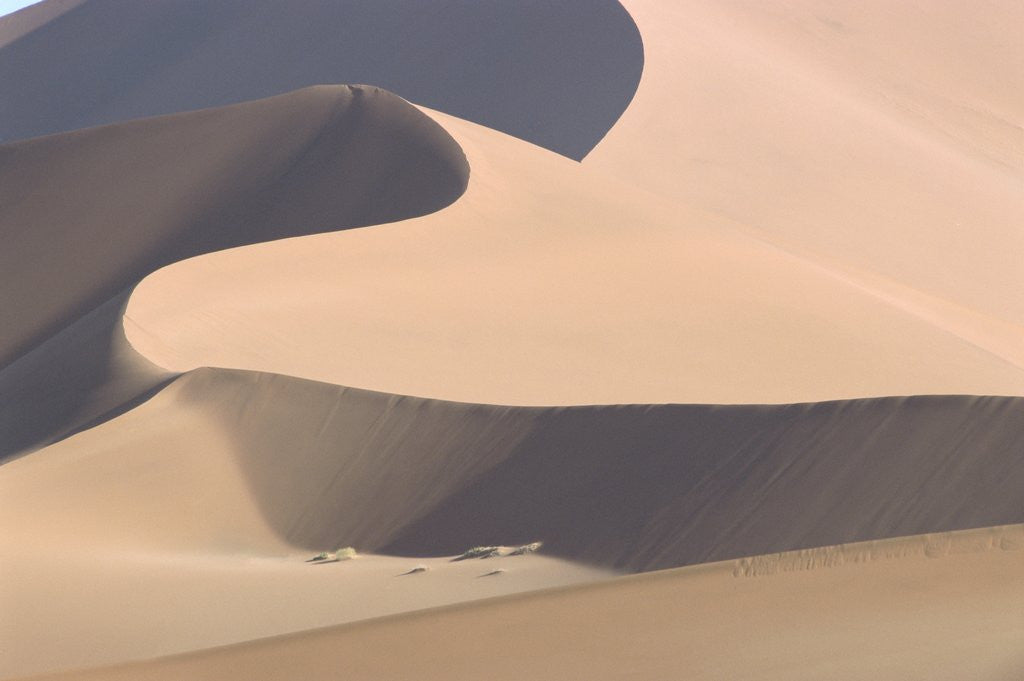 Detail of View of sand dunes in a desert by Corbis