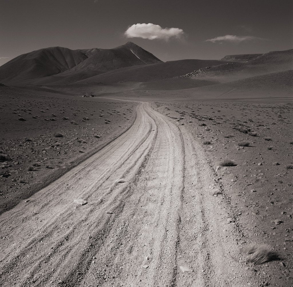Detail of Road leading through desert setting by Anonymous