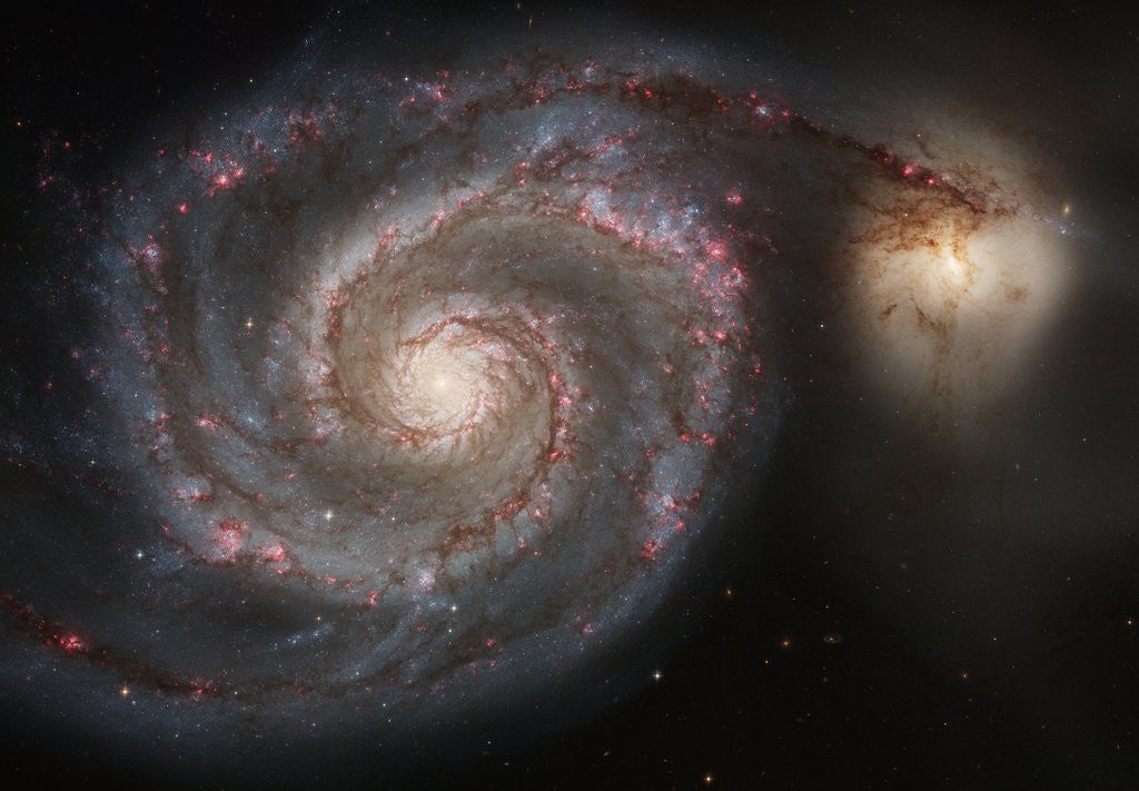 Detail of The Whirlpool Galaxy (M51) by Corbis