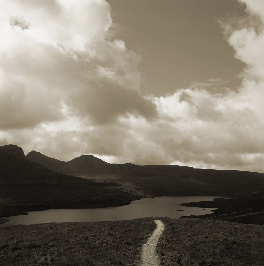 Detail of High angle view of a lake in a rural setting by Anonymous