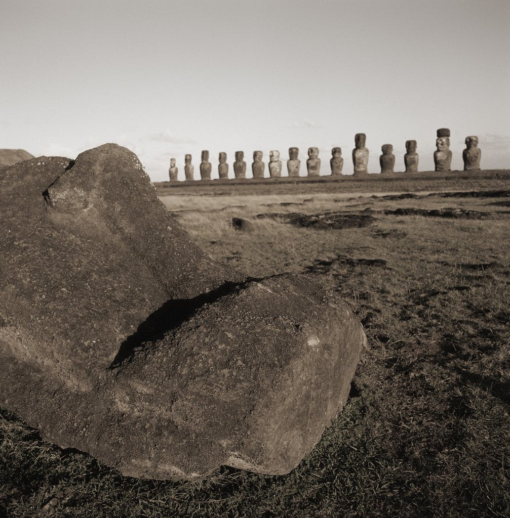 Detail of Row of Moai statues, Easter Island, Chile by Anonymous