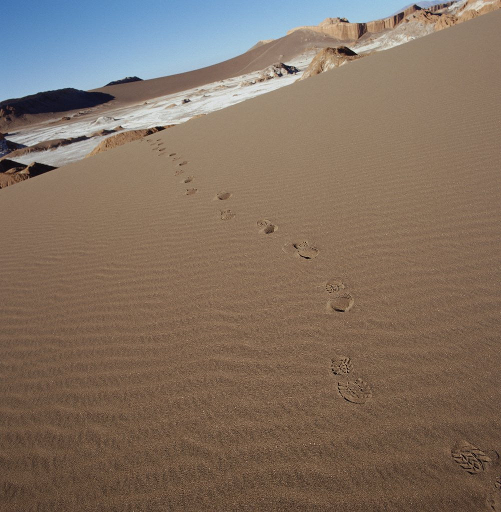Detail of View of footprints leading over a sand dune by Corbis