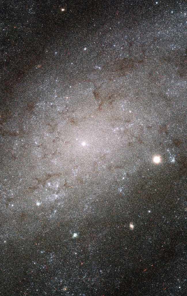 Detail of Core of Galaxy NGC 300 by Anonymous