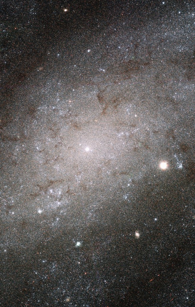 Detail of Core of Galaxy NGC 300 by Corbis