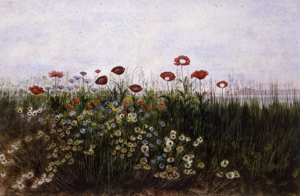 Detail of Flowers on the Irish Coast by Andrew Nicholl