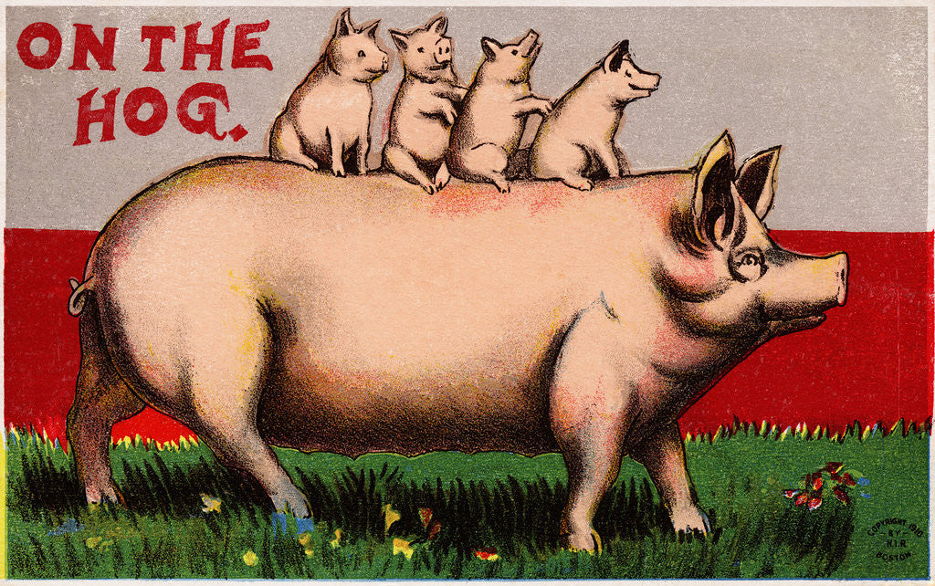 Detail of On the Hog Postcard by Anonymous