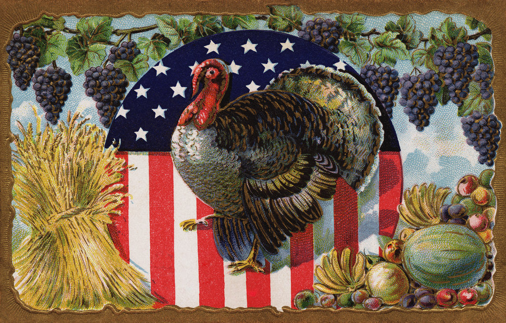 Detail of Thanksgiving Postcard with Turkey and Stars and Stripes Motif by Anonymous