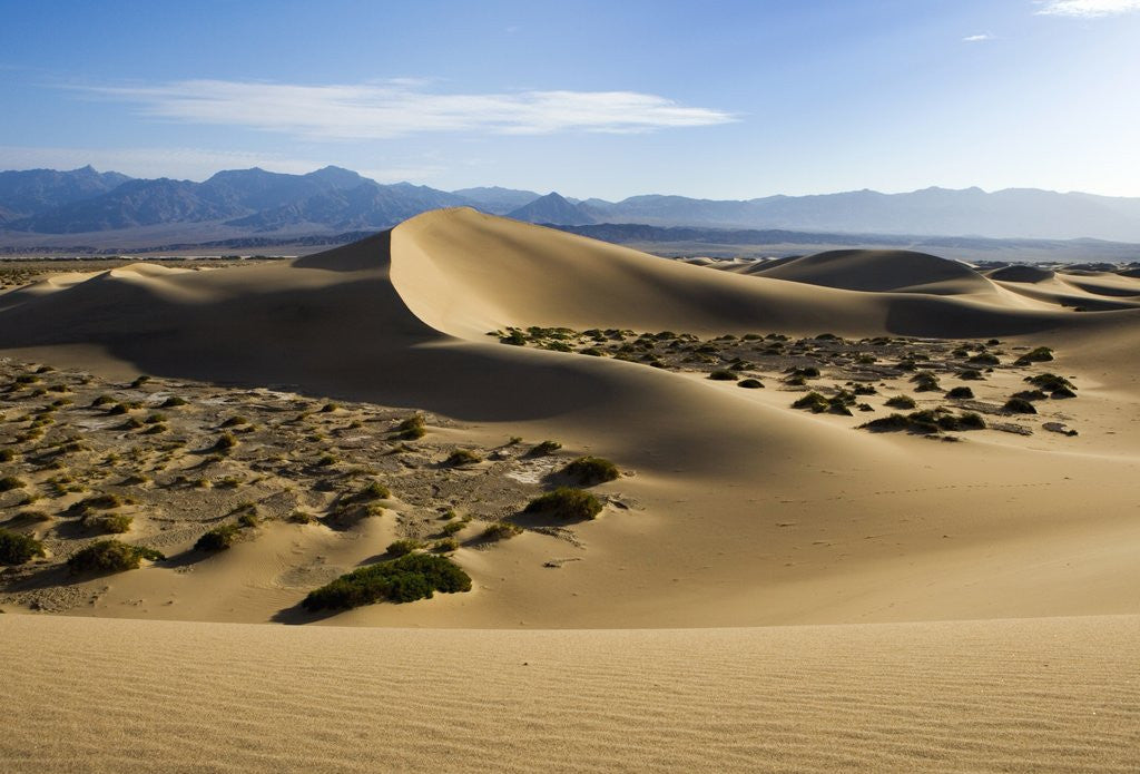 Detail of Death Valley by Anonymous
