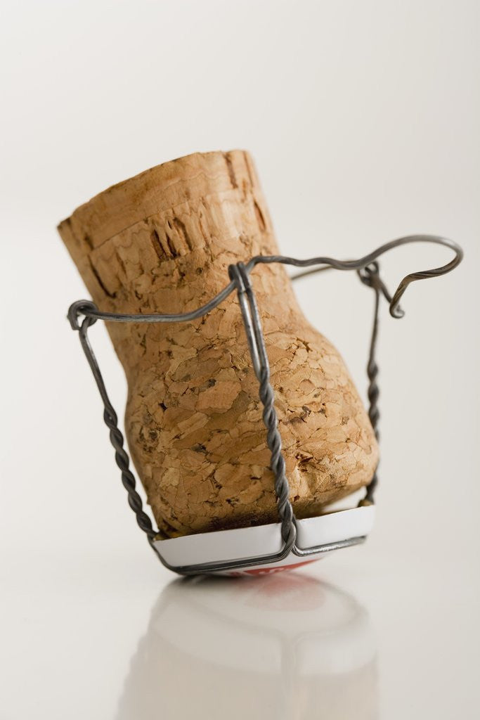 Detail of Champagne Cork by Corbis