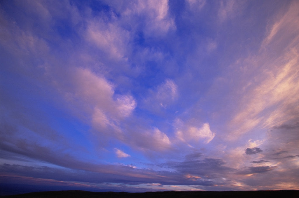 Detail of Colorful Clouds at Sunset by Anonymous