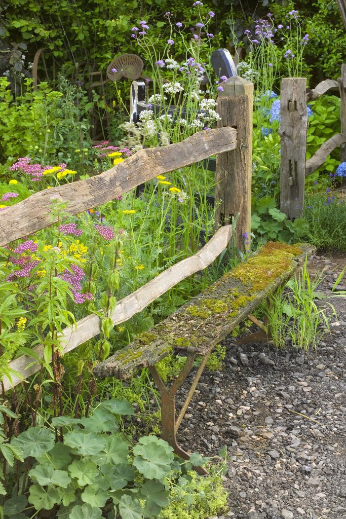 Detail of Flower Garden with Old Wood Fence by Anonymous