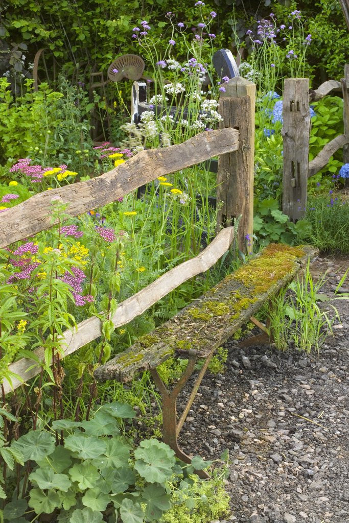 Detail of Flower Garden with Old Wood Fence by Corbis