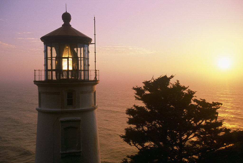 Detail of Sunset at Heceta Head Lighthouse in Oregon by Anonymous
