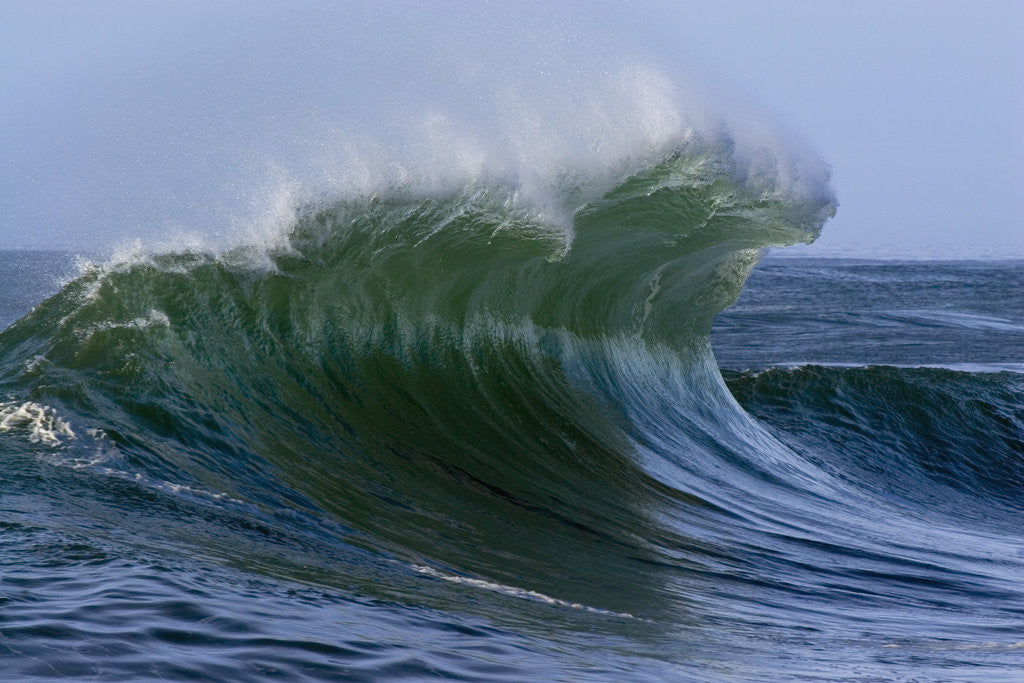 Detail of Large Wave at the Oregon Coast by Corbis