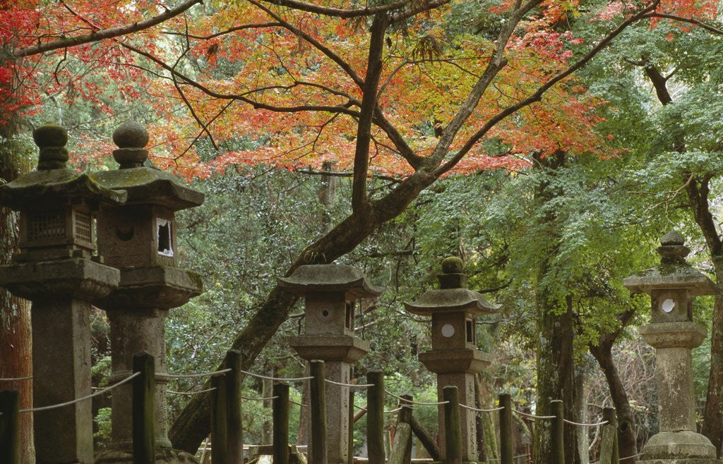 Detail of Lanterns at Kasuga Taishi Shine by Anonymous