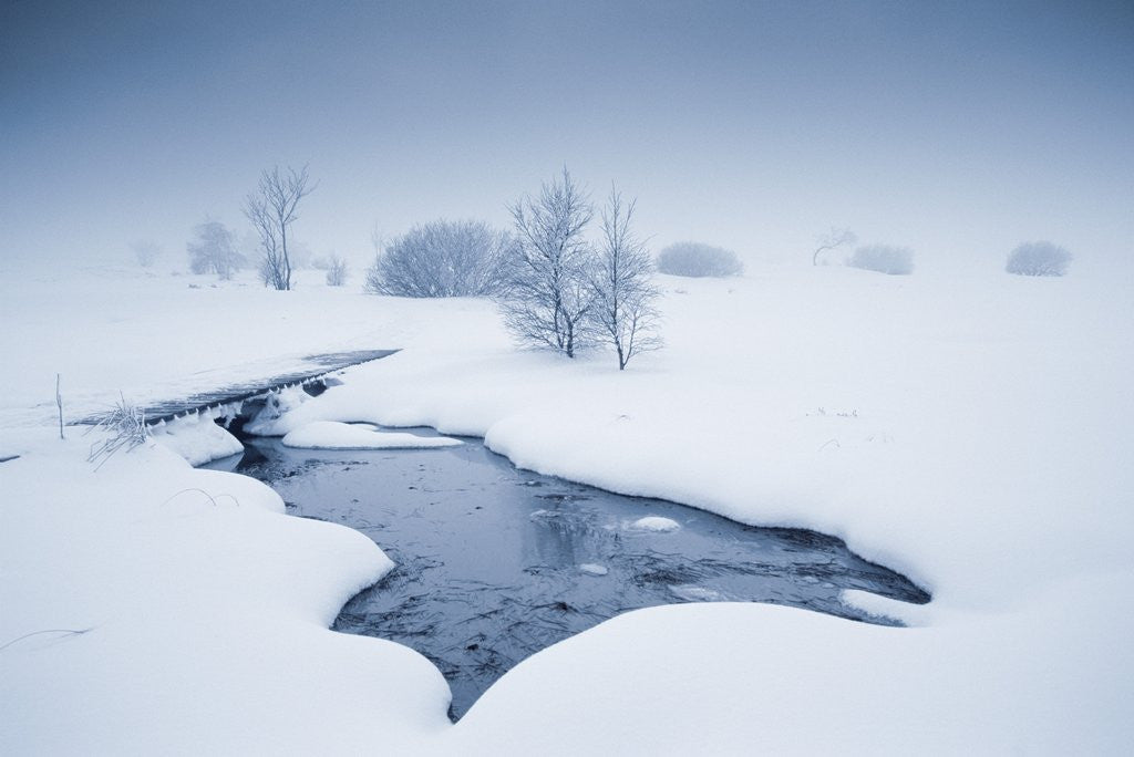 Detail of View of winter landscape by Anonymous