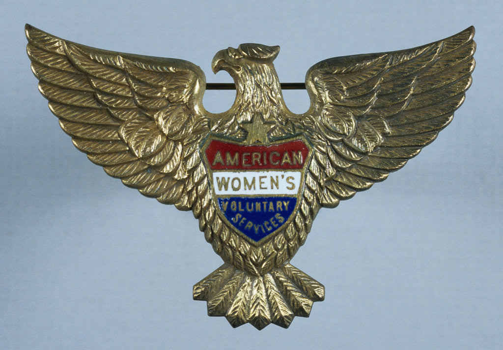 Detail of AWVS Membership Pin by Anonymous