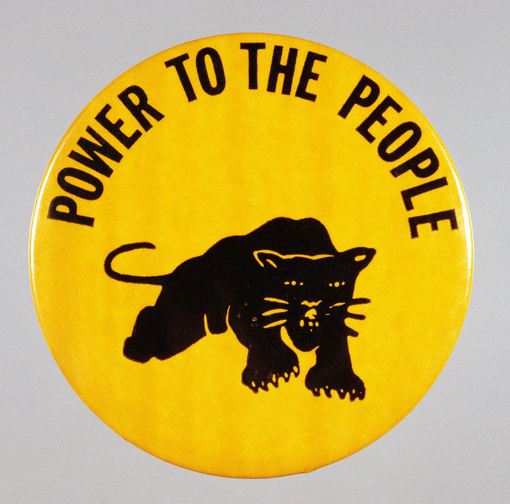 Detail of Black Panther Pin by Anonymous