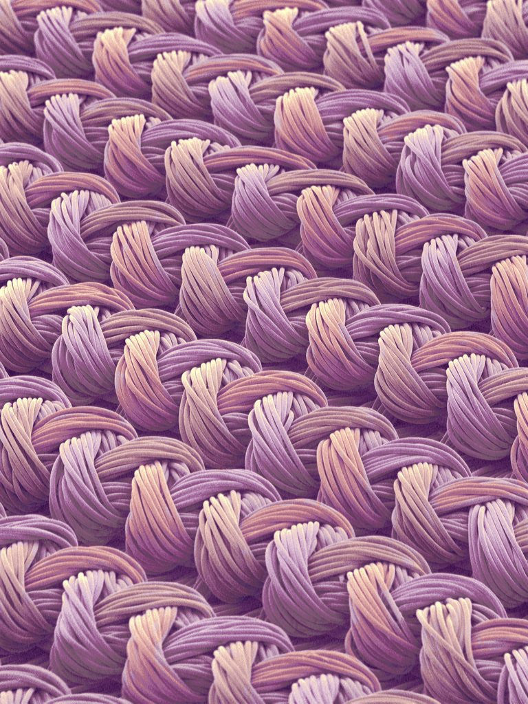 Detail of Polyester and Nylon Cloth of Woman's Bodybriefer by Anonymous