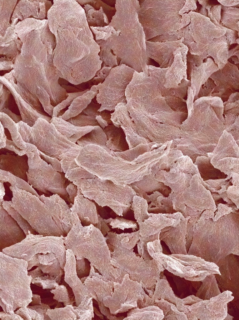 Detail of Fingernail by Anonymous