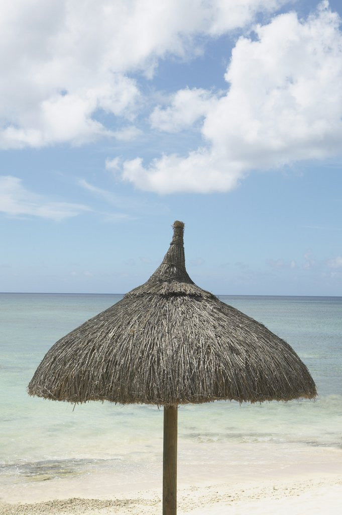 Detail of View of a tropical umbrella on a beach by Anonymous