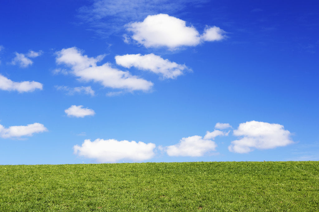 Detail of Clouds in Blue Sky Over Green Grass by Anonymous