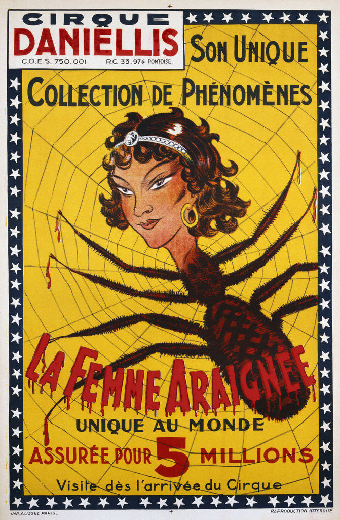 Detail of La Femme Araignee Poster by Anonymous