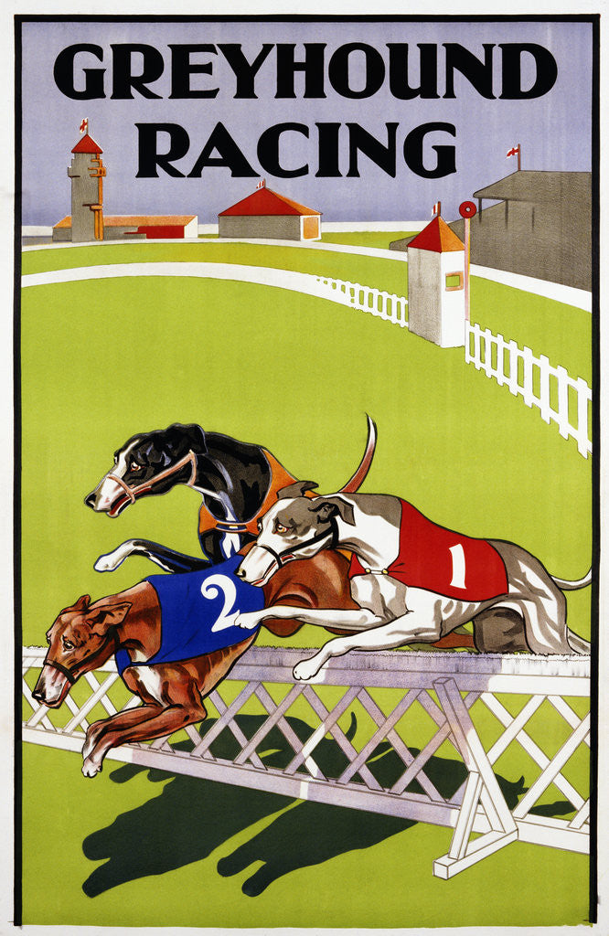 Detail of Greyhound Racing Poster by Anonymous