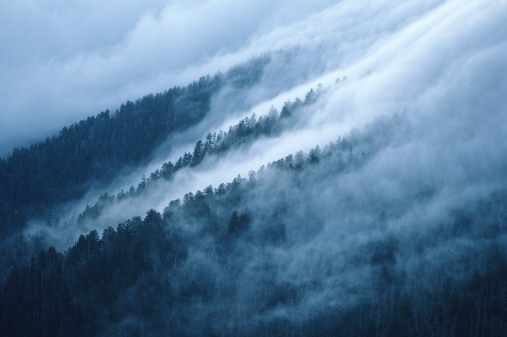 Detail of Fog in the Smokey Mountains by Corbis