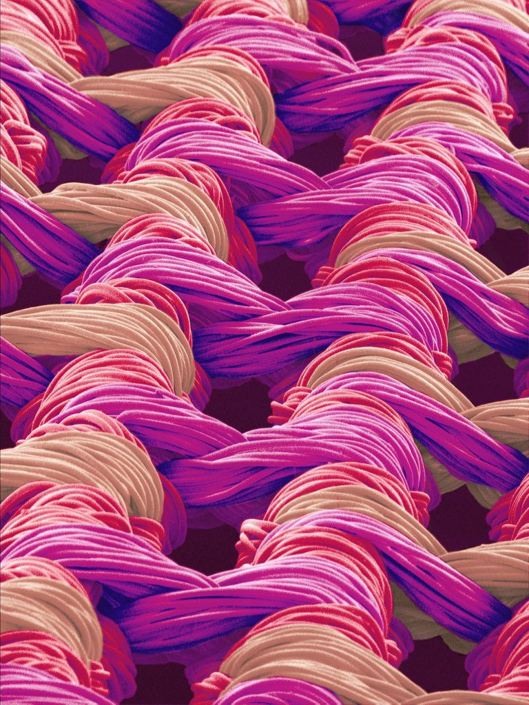 Detail of Polyester and Nylon Cloth of Woman's Bodybriefer by Anonymous