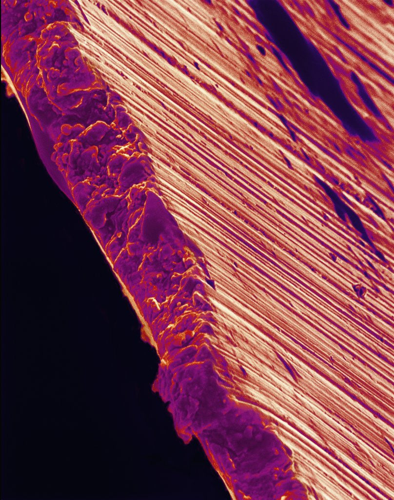 Detail of Cutting Edge of Used Razor Blade by Anonymous