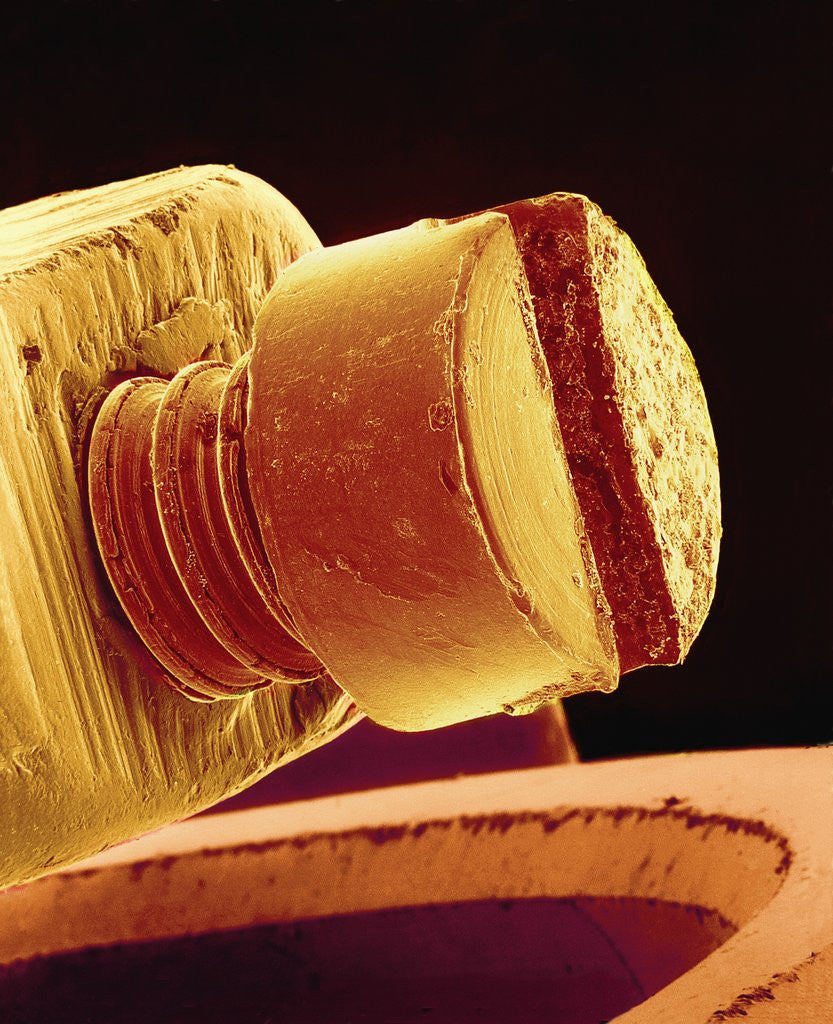 Detail of Screw on a Watch by Anonymous
