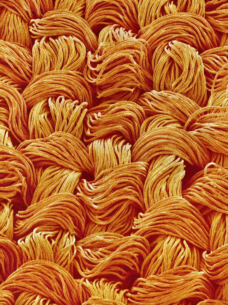 Detail of Polyester Cloth from Women's Underwear by Corbis