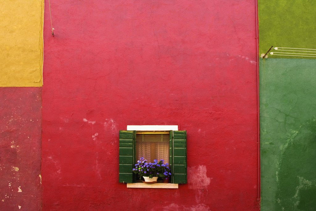 Detail of Wall with Pot of Flowers in Window by Anonymous