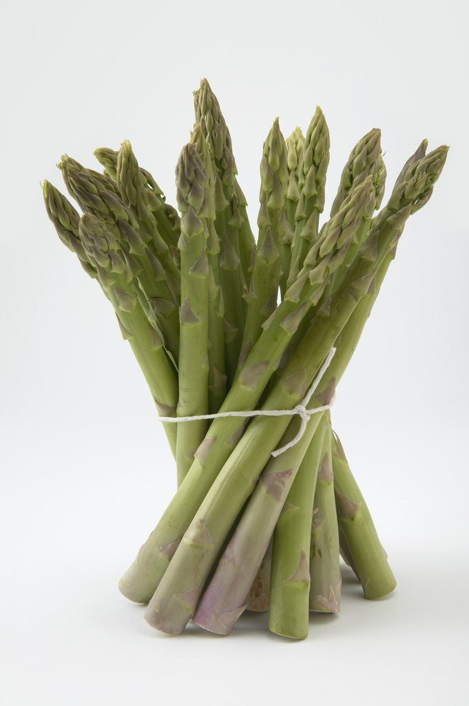Bunch of Asparagus by Corbis