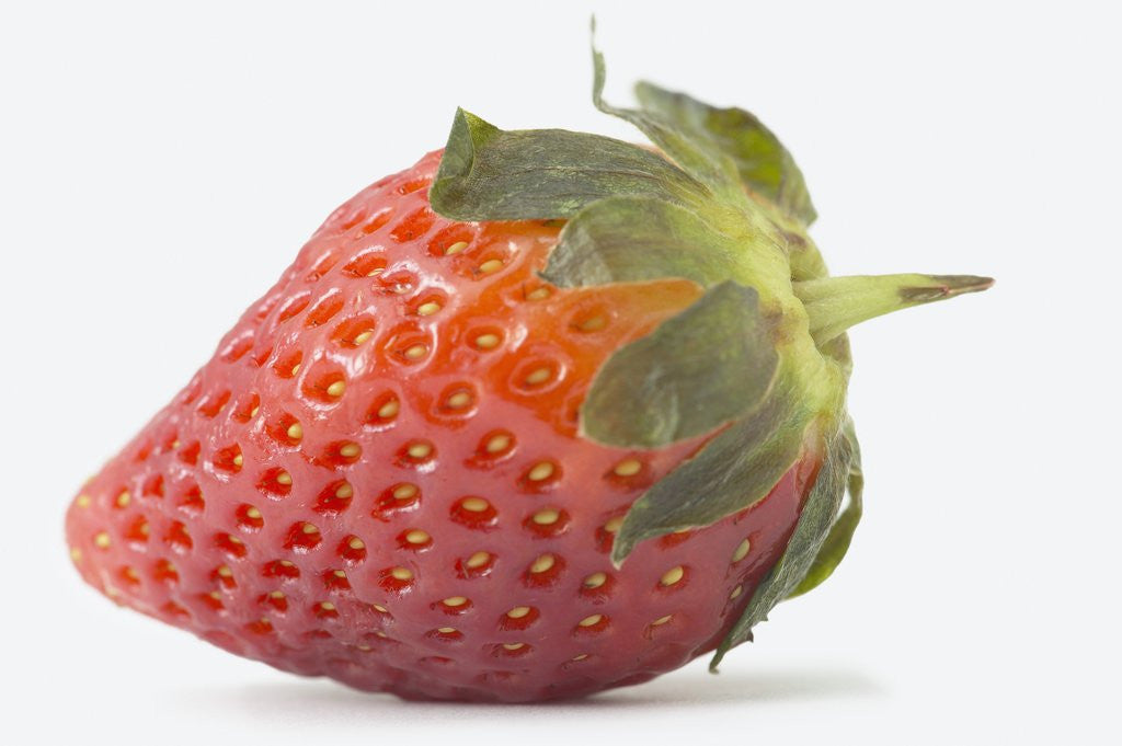 Detail of Strawberry by Corbis