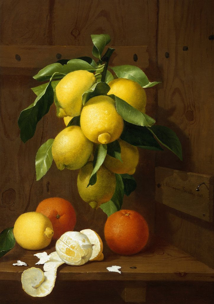 Detail of A Still Life of Lemons and Oranges by Antonio Mensaque