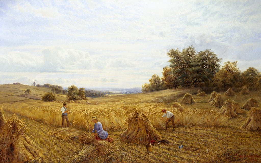 Detail of Harvest Time by Alfred Augustus Glendening II