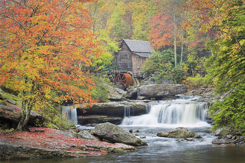 Detail of Rushing Creek and Old Gristmill by Anonymous