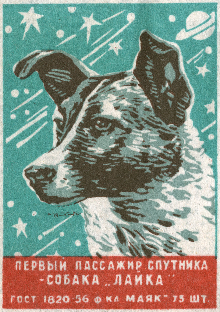 Detail of Soviet Matchbox Label with Dog by Anonymous