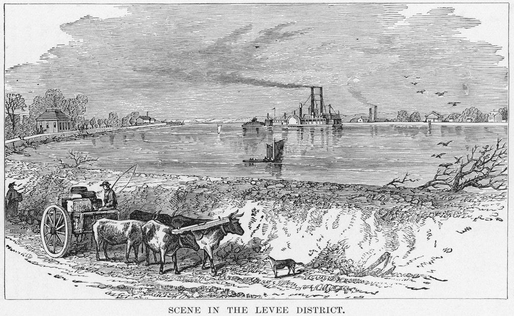Detail of Scene in the Levee District, New Orleans by Anonymous